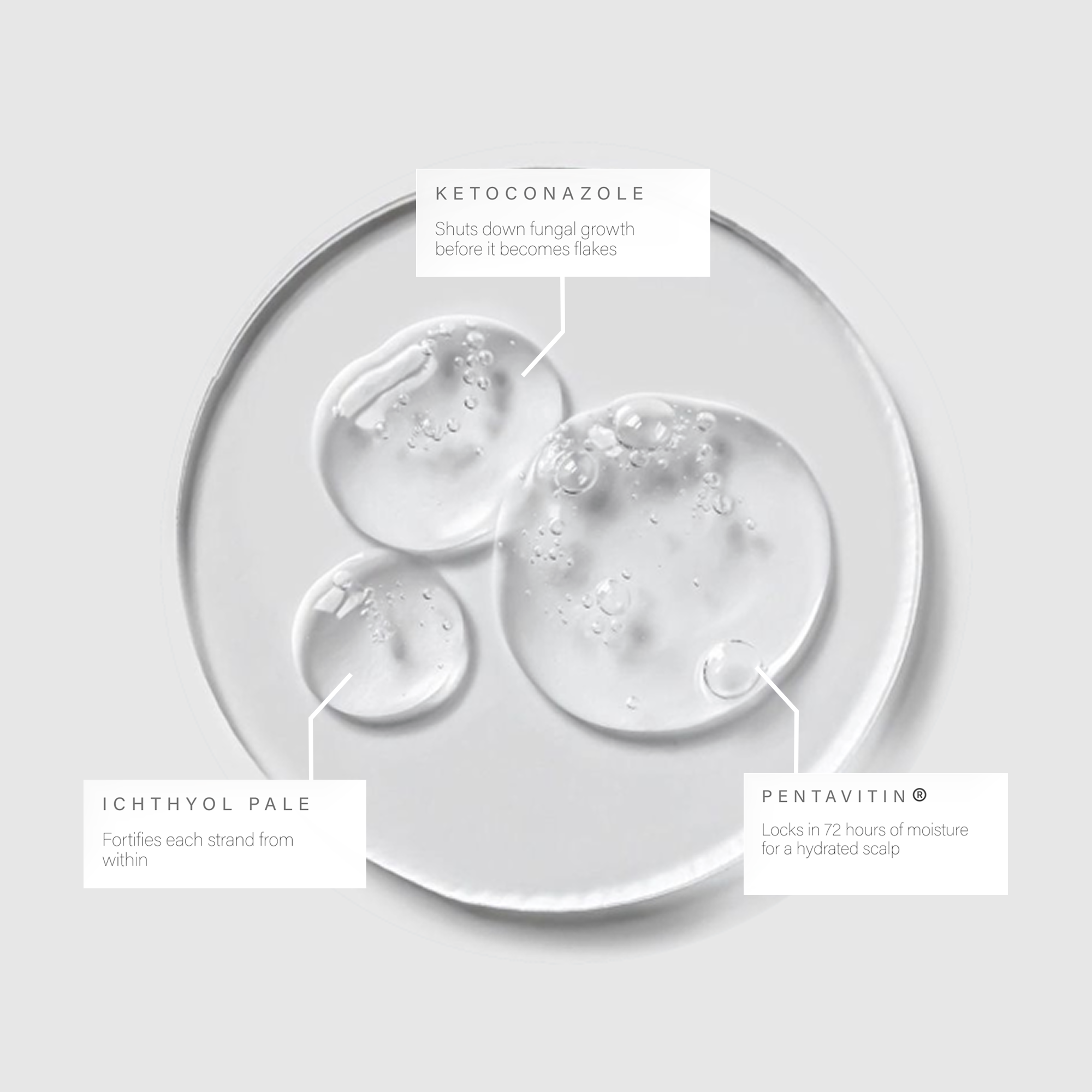 Kore Anti Dandruff Hydrating Shampoo