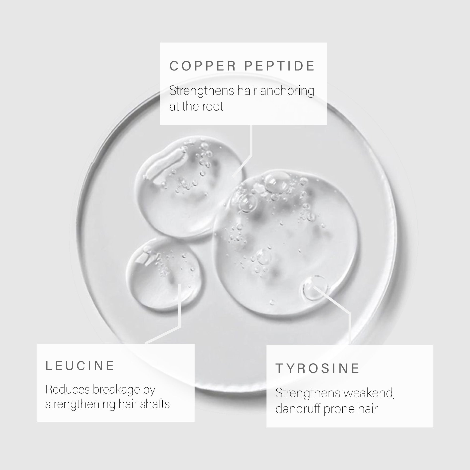 Kore Anti Hair Fall Multi-Peptide Shampoo