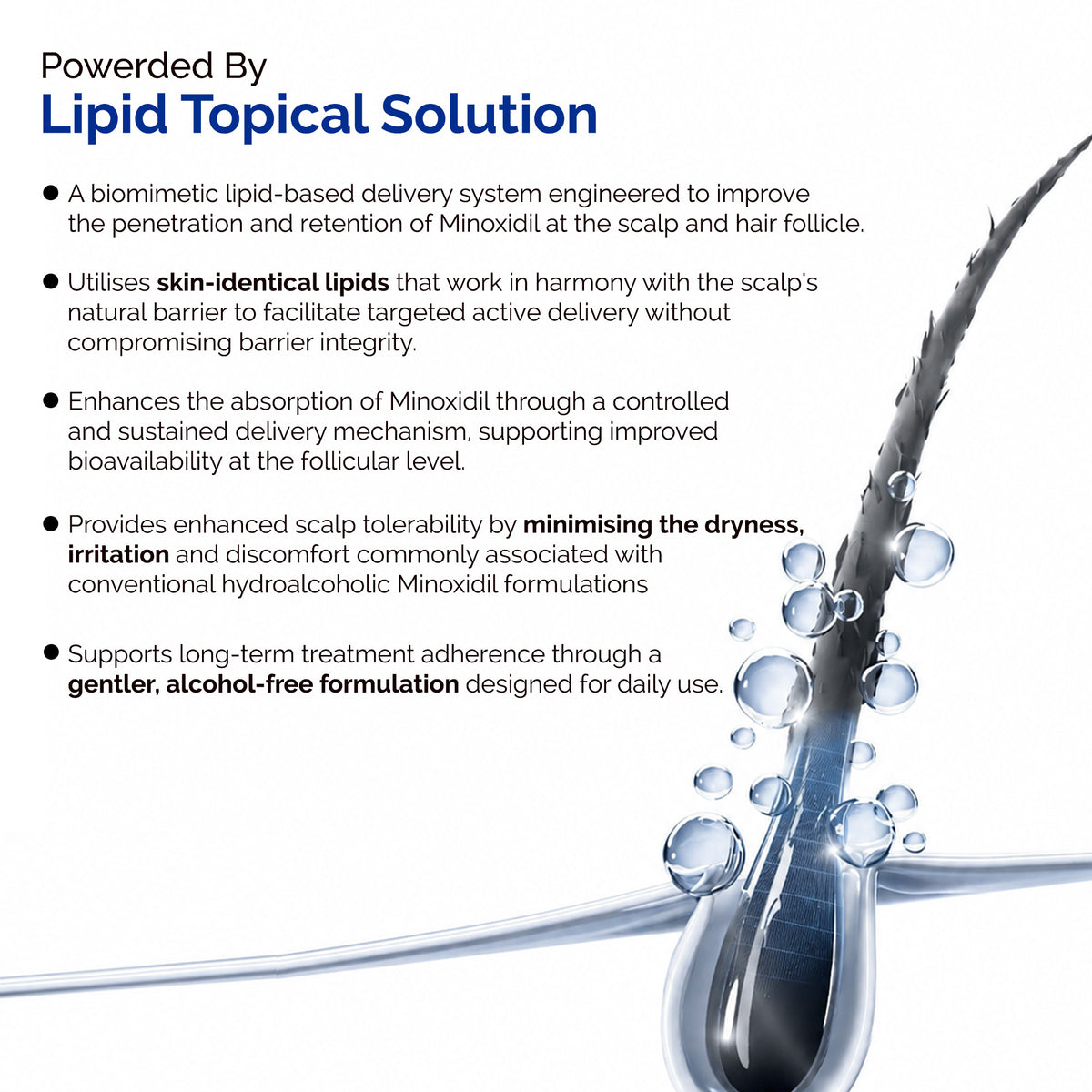KORE 10% Minoxidil and 0.1% Finasteride Lipid Topical Solution